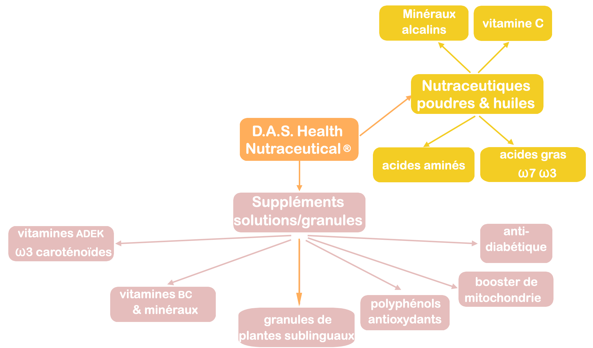 Production de compléments alimentaires