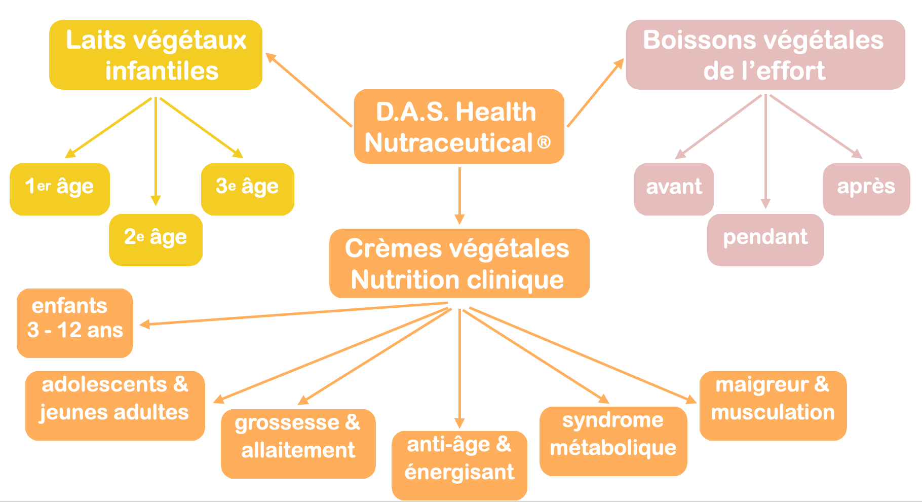 Production de laits infantiles, de crèmes adaptées à l’âge et à la maladie et de boissons de l’effort sur 3 années